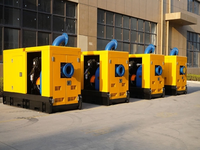 Дизельные насосы для защиты от наводнений для государственного проекта в Малайзии